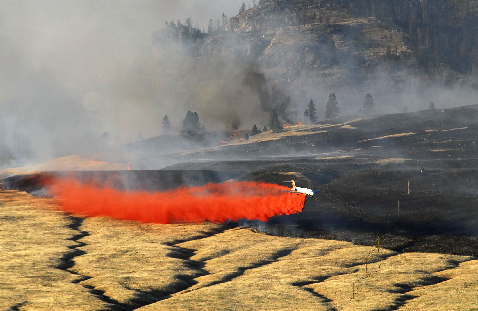 Tunk fire